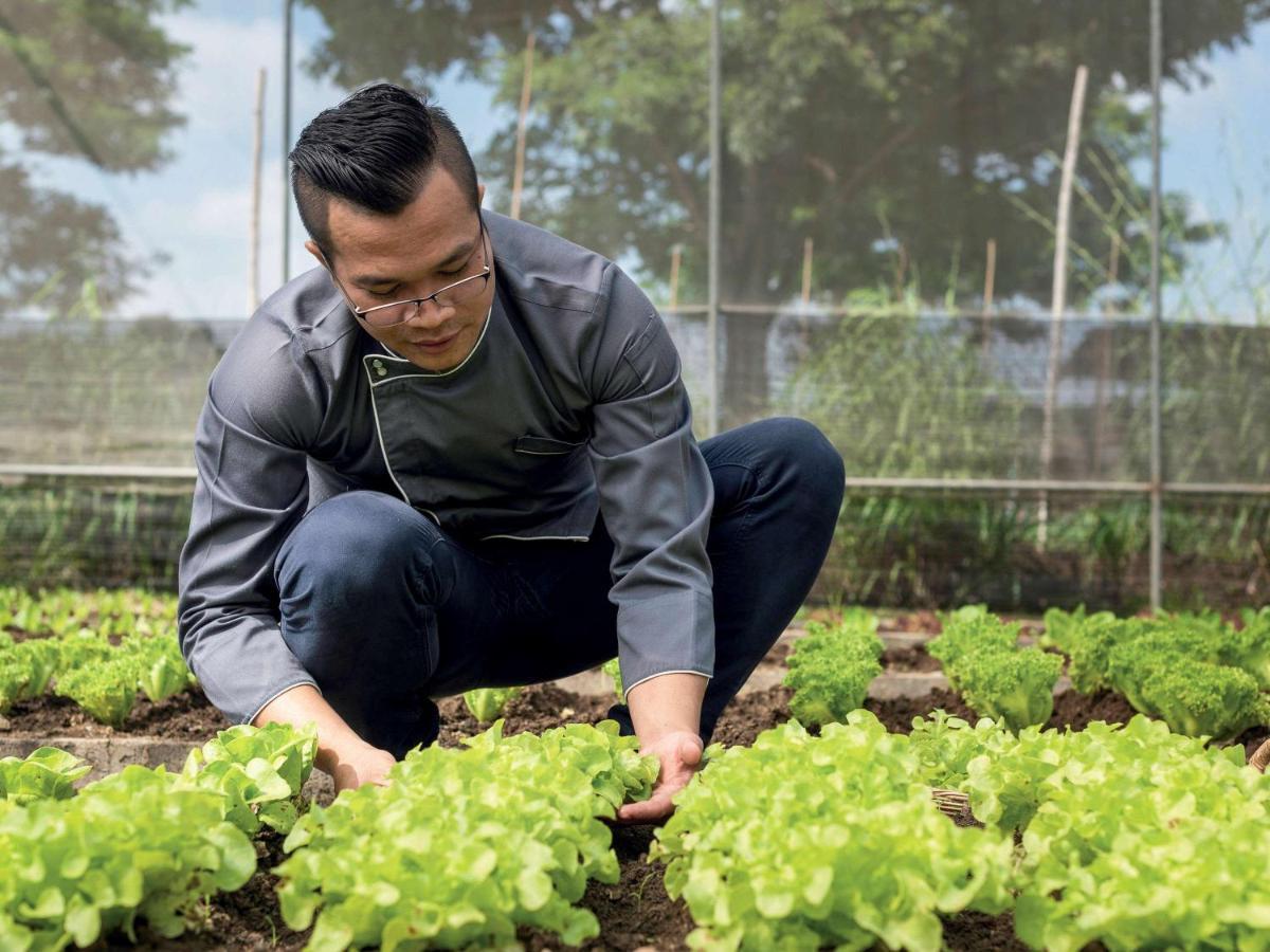 Moevenpick Resort Khao Yai Ban Wang Sai Zewnętrze zdjęcie